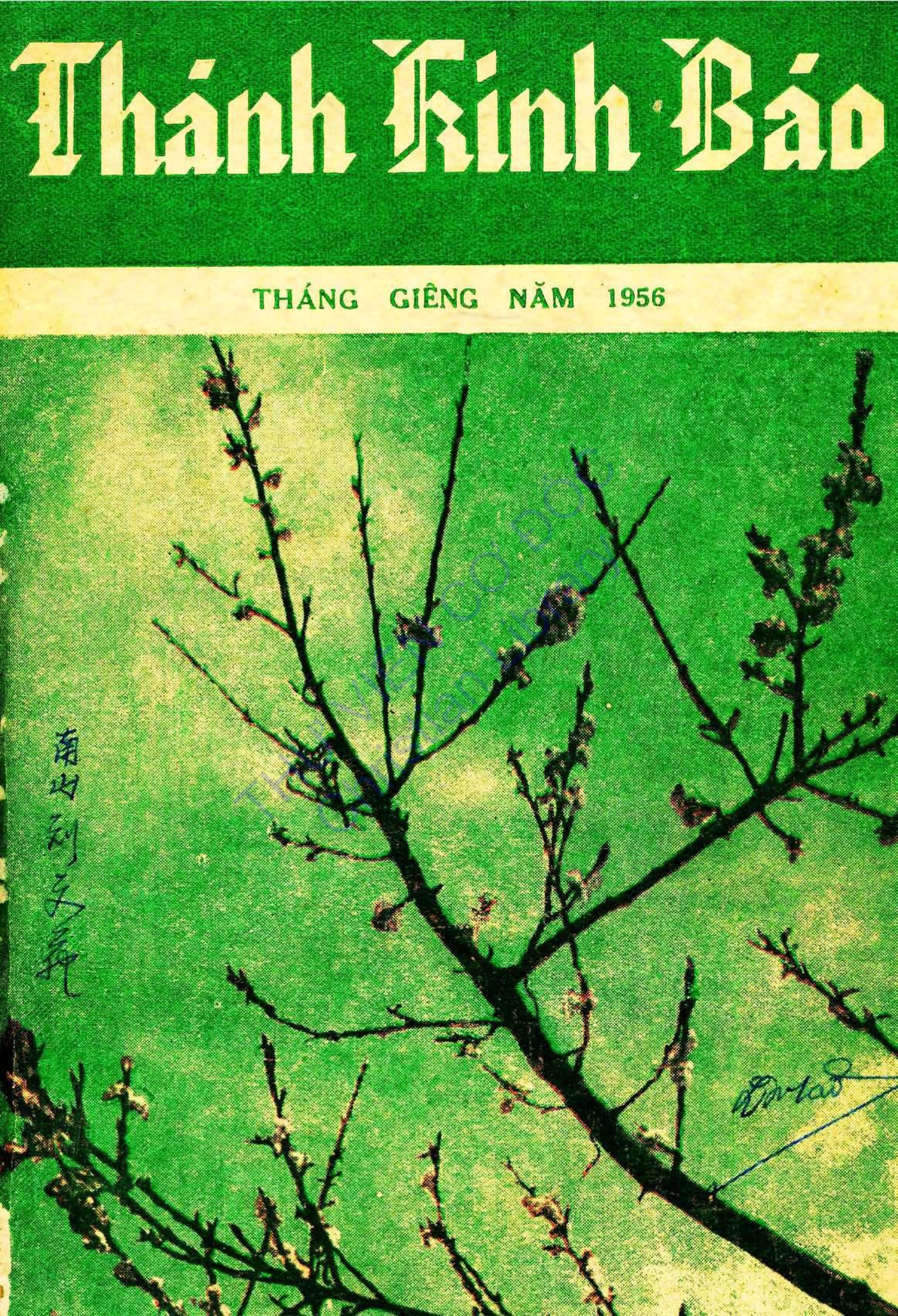 Thánh Kinh Báo 231