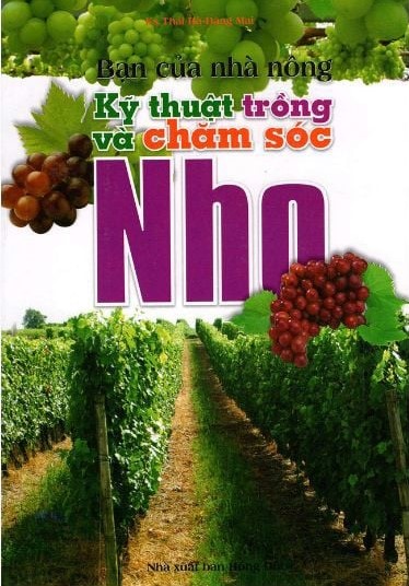 Bạn của nhà nông: Kỹ thuật trồng và chăm sóc nho