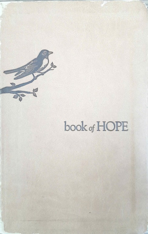 The One Year Book of Hope