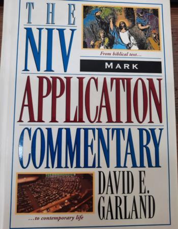 The NIV application commentary