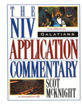 The NIV application commentary