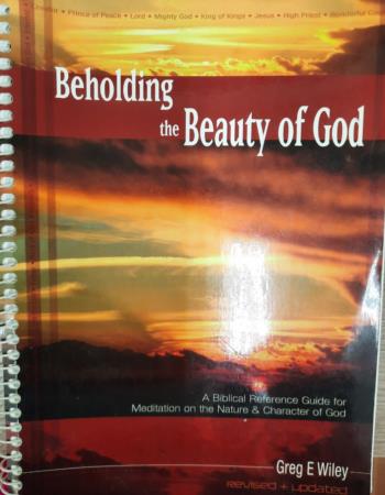 Beholding the beauty of God