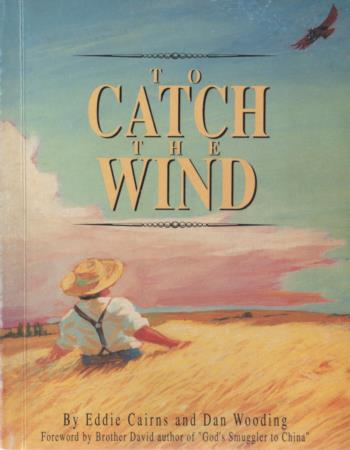 To catch the wind